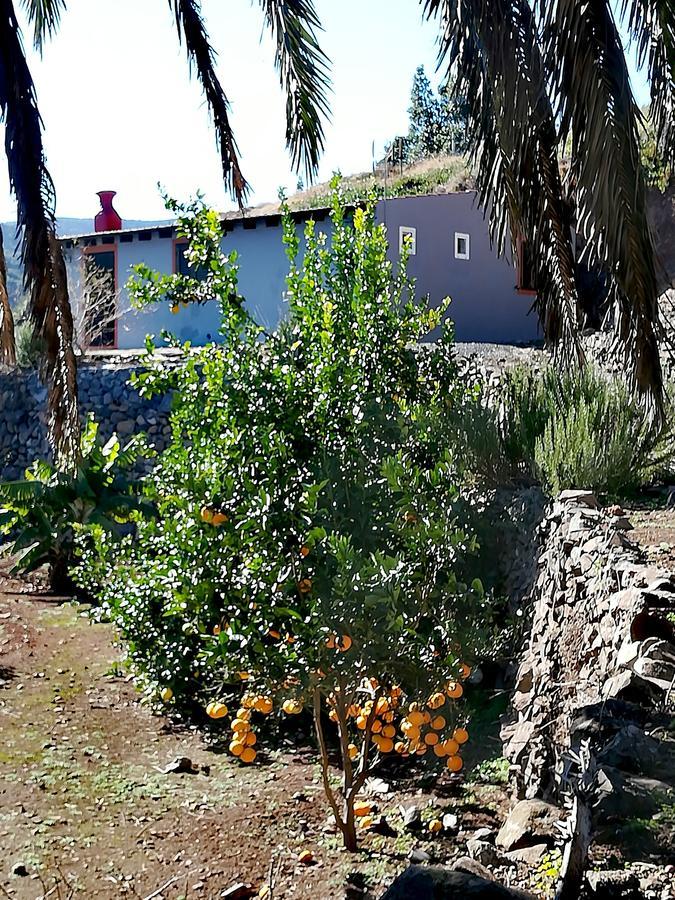 Casa La Montana Βίλα El Cedro Εξωτερικό φωτογραφία